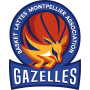 Logo équipe domicile